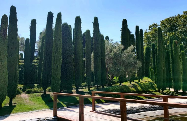 El Bosque del Recuerdo: un tributo a las víctimas del 11-M en el Parque de El Retiro de Madrid