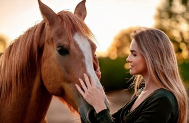 Vínculos entre animales y humanos